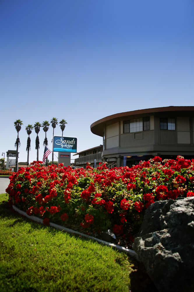 Sands By The Sea Motel San Simeon Exterior foto